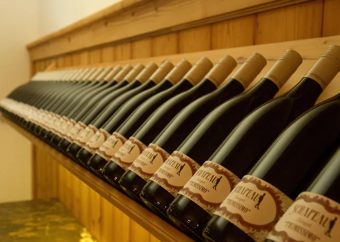 Torbraeu 4* מינכן